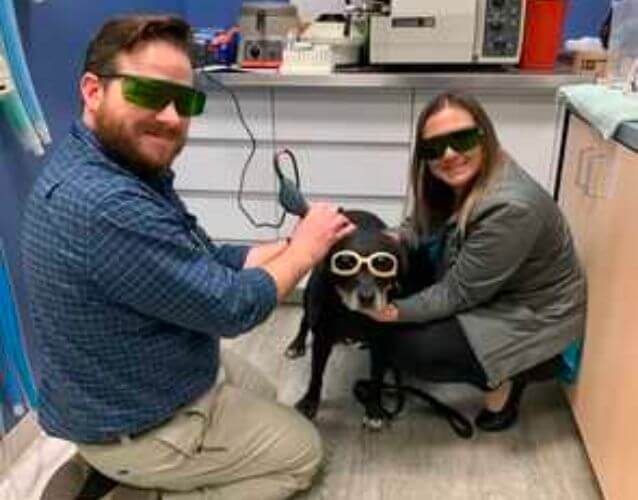 dr. mike richards doing laser therapy
