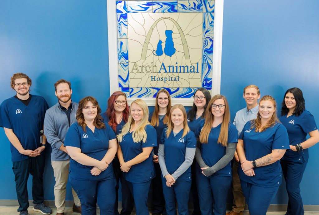 Veterinarian in St. Louis, MO 63122 Arch Animal Hospital